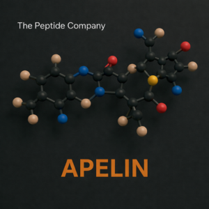 apelin the peptide company