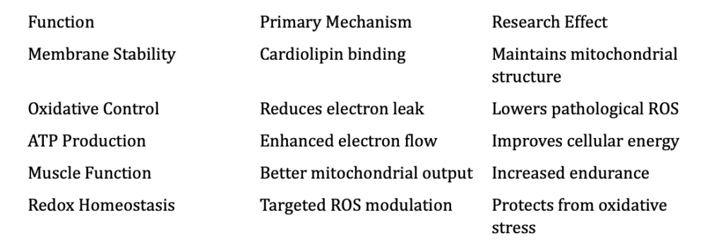SS-31 (Elamipretide): Mitochondrial Protection, Cardiolipin Stabilization, and Cellular Energy Restoration – research illustration
