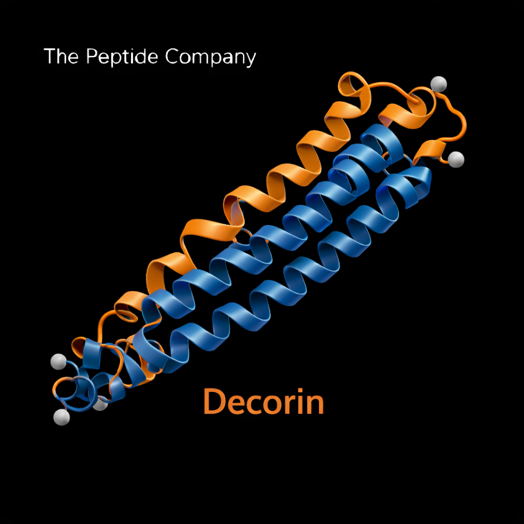Decorin peptide 3D ribbon structure with blue helical core and orange regulatory domains on a flat black background, labeled “The Peptide Company” at the top and “Decorin” in orange at the bottom.