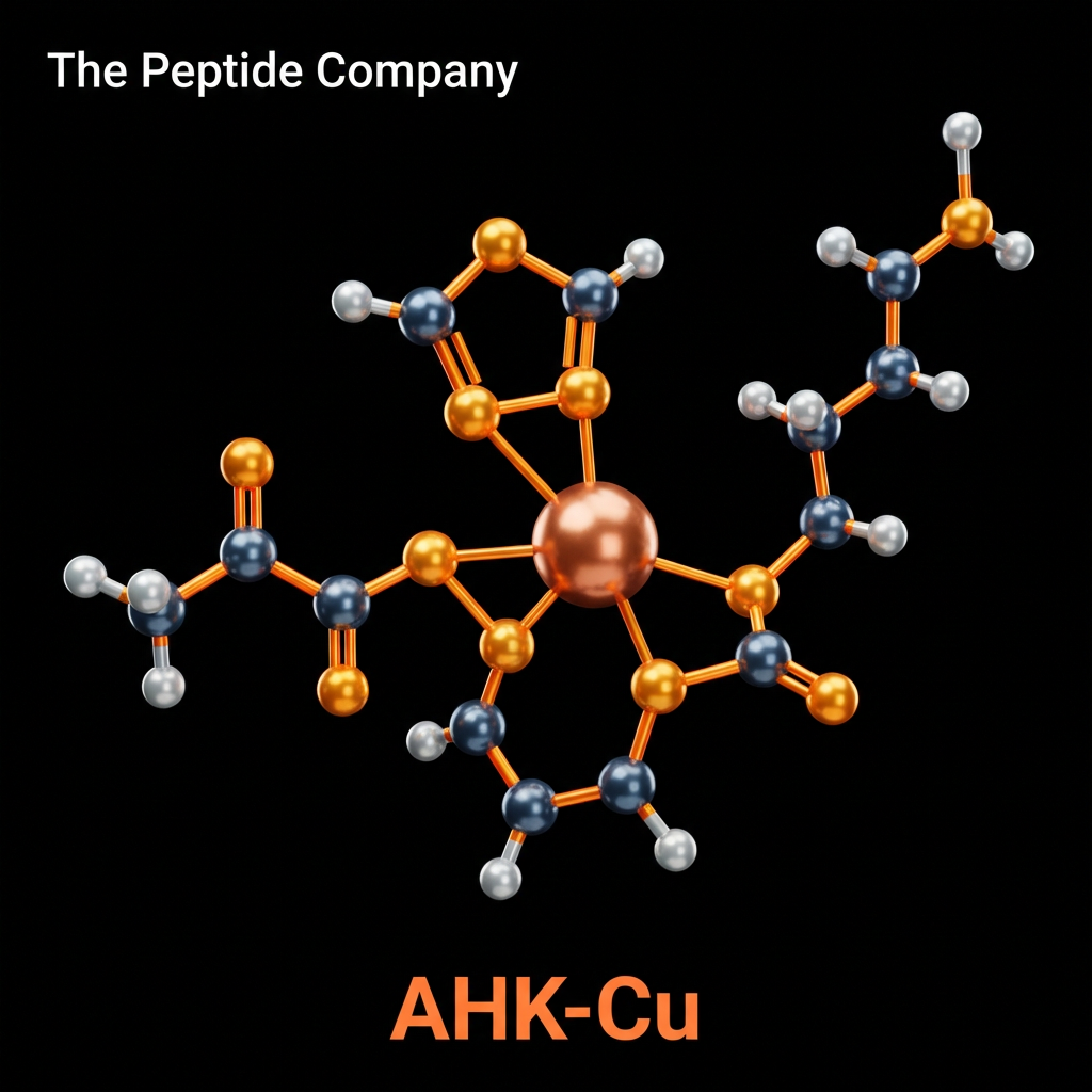 3D molecular structure of AHK-Cu (copper tripeptide) featuring a central copper ion bound to peptide ligands, displayed as orange and silver atoms on a black background with “The Peptide Company” at the top and “AHK-Cu” in orange text at the bottom.
