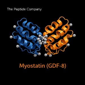MYOSTATIN THE PEPTIDE COMPANY