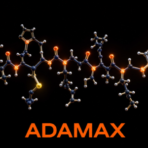 Adamax : Adamantane-Modified Semax Analogue, BDNF/TrkB Axis Potentiation, and Enhanced Neuroprotection in Research Models