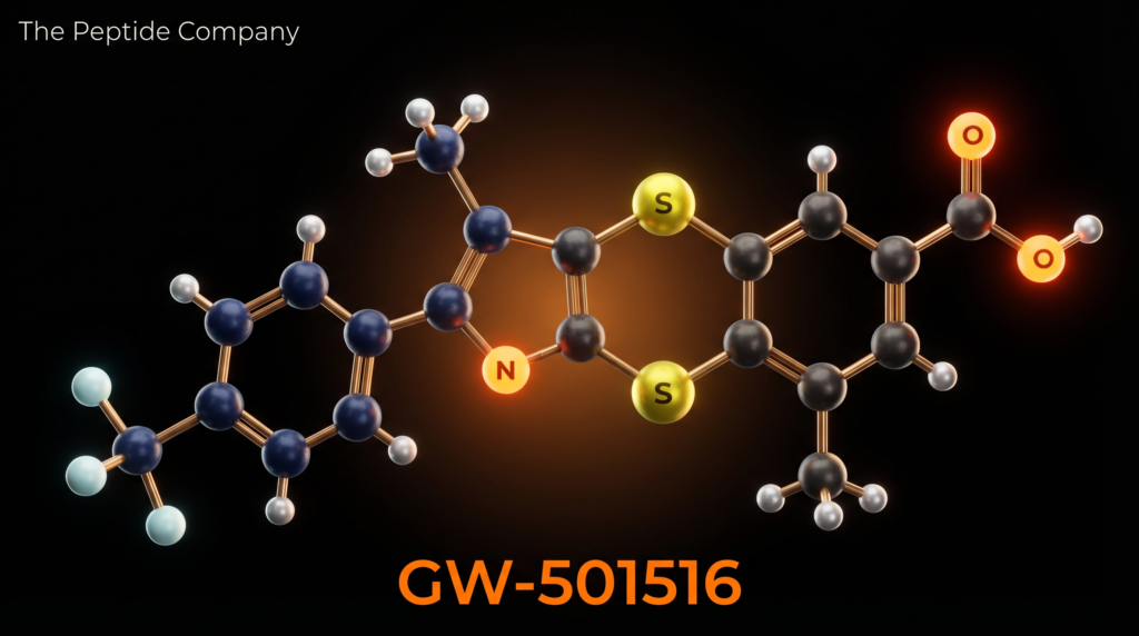 GW-501516 (Cardarine): PPARδ Agonism, Skeletal Muscle Metabolic Reprogramming, and Fatty Acid Oxidation in Research Models – research illustration