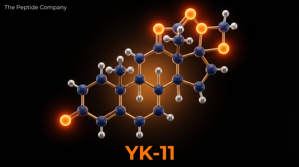 YK-11: Steroidal SARM, Androgen Receptor Partial Agonism, Follistatin-Mediated Myostatin Inhibition, and Dual Anabolic-Osteogenic Activity in Research Models – research illustration